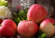 孕婦可以吃嘎啦果嗎？嘎啦果的禁忌