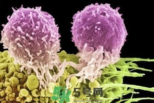 不宜過多食用辣椒的人群有哪些？夏天吃辣椒的好處有哪些？