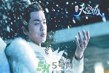天空草是什么？天空草有什么用？