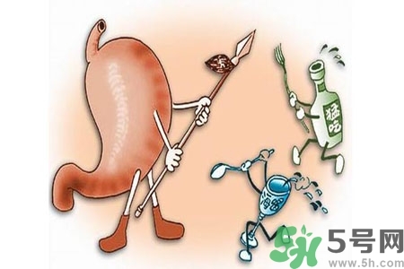 哪些食物幫你在酒后保養(yǎng)胃部？養(yǎng)胃護(hù)胃的誤區(qū)是什么？