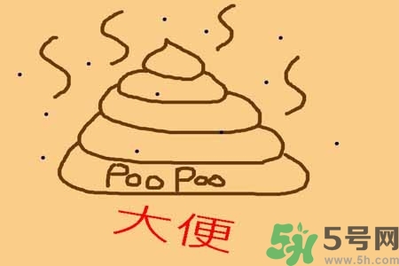 大便顏色代表什么問題？怎樣判斷大便顏色？