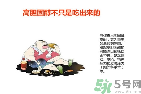 高膽固醇人群該怎么辦？膽固醇高需注意什么？