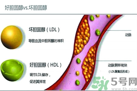 膽固醇高會(huì)引發(fā)什么疾病嗎？如何控制高膽固醇？