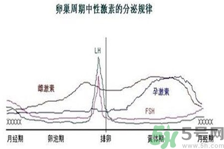 如何分清常見的激素藥？如何正確使用激素類藥物？