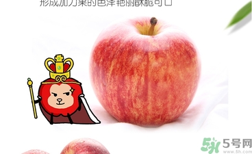 姬娜果是什么？姬娜果的功效作用