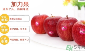 姬娜果是什么？姬娜果的功效作用