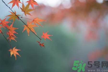 秋老虎如何謹(jǐn)防皮膚?。壳锢匣⑷绾晤A(yù)防皮膚??？