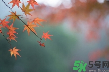 秋天換季病有哪些？秋天該如何保健養(yǎng)生呢？