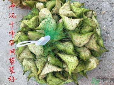 菱角和豬肉能一起吃嗎？菱角和什么不能一起吃？