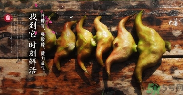 菱角和豬肉能一起吃嗎？菱角和什么不能一起吃？