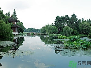 菱角是什么？菱角是什么季節(jié)成熟的？