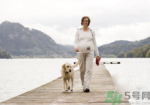 孕婦可以和狗狗在一起嗎？孕婦和狗狗接觸好不好？