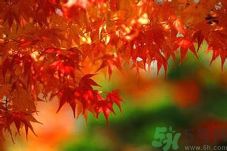 秋燥的表現(xiàn)是什么？小孩如何預(yù)防秋燥？