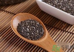 奇亞籽是什么？奇亞籽的功效作用