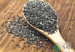 奇亞籽是什么？奇亞籽的功效作用