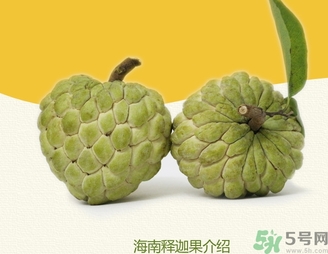 釋迦果怎么吃？釋迦的營養(yǎng)價值功效作用