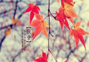 秋燥的表現(xiàn)是什么？小孩如何預(yù)防秋燥？