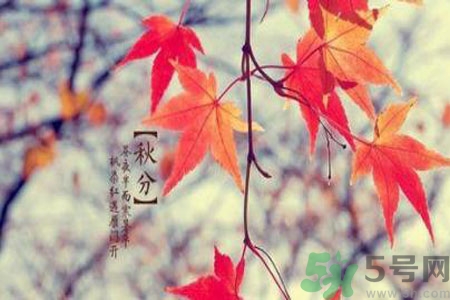 秋燥是什么？秋燥怎么辦？