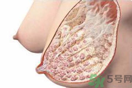 乳腺增生可以懷孕嗎？如何預(yù)防乳腺增生？