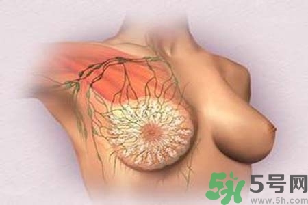 乳頭發(fā)黑怎么辦？怎么樣可以使乳頭變白？