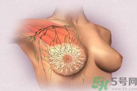 乳頭發(fā)黑是怎么回事？乳頭發(fā)黑是什么原因？
