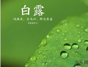 白露是什么意思？白露是幾月幾日