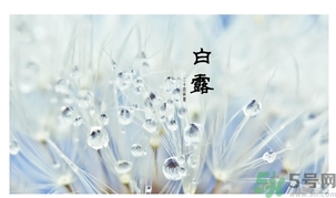白露身不露是什么意思？白露還熱嗎？