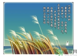 白露茶是什么茶？白露為什么要喝白露茶？