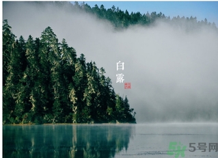 白露喝什么茶？白露養(yǎng)生茶飲推薦
