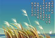 白露是什么意思？白露是幾月幾日