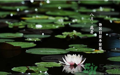 處暑如何養(yǎng)生？處暑養(yǎng)生要注意什么？