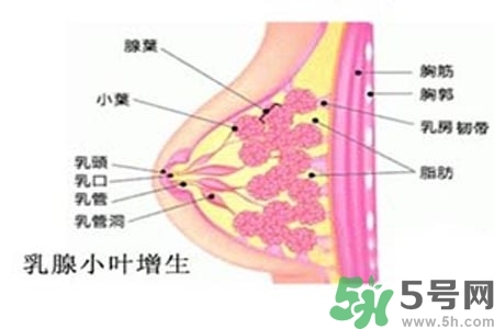 乳房上有硬塊怎么辦？乳房有硬塊的病因是什么？
