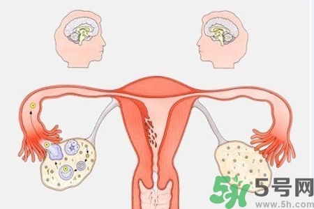 陰道出血和什么有關(guān)？陰道出血的應(yīng)急措施有哪些？
