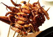 魷魚(yú)可以和土豆一起吃嗎?魷魚(yú)能和土豆同吃嗎?