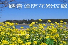 花粉過敏的表現(xiàn)是什么？如何有效的預防花粉過敏？