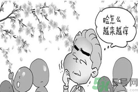 花粉過敏的表現(xiàn)是什么？如何有效的預防花粉過敏？