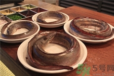 鰻魚的營養(yǎng)價(jià)值 鰻魚的功效與作用