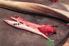 鰻魚的營養(yǎng)價(jià)值 鰻魚的功效與作用