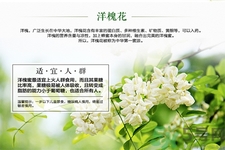 洋槐蜜的鑒別方法是什么？洋槐蜜多少錢一斤？