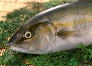 魚眼睛可以吃嗎？吃魚眼睛有什么好處？