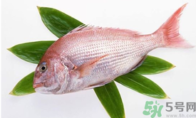 吃魚(yú)眼睛對(duì)眼睛有好處嗎？吃什么魚(yú)對(duì)眼睛好？