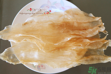 魚膠是什么？魚膠的功效與作用？