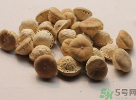 壯陽果可以泡水喝嗎？壯陽果泡水喝的功效與作用
