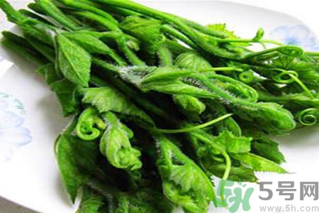 南瓜藤的功效作用有哪些？南瓜藤的食用價(jià)值是什么？