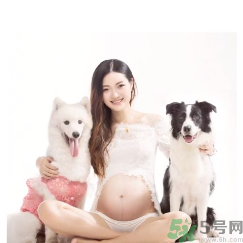 孕婦可以養(yǎng)狗嗎？養(yǎng)狗對孕婦有影響嗎？