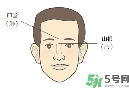 耳垂上有豎紋是怎么回事？山根有橫紋是什么?。?></p><p><strong style=