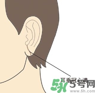 耳垂上有豎紋是怎么回事？山根有橫紋是什么?。?></p><h3>面色</h3><h5>我們東方人正常的臉色是黃紅隱隱，有光澤滋潤感，但會隨著季節(jié)，顏色稍微有些變化，例如夏天天氣炎熱，臉色稍微偏紅，冬天天氣寒冷，臉色稍微偏白，都是正常的。但是若有以下情況可就要小心了！</h5><h4>1. 面色長期不變，不隨季節(jié)改變。</h4><p>● 面色暗紅，底層多細細的暗色小血絡。</p><p>● 面色灰黑暗沉，沒有光澤，甚至浮腫。</p><p>● 面色蒼白沒有光澤。</p><h4>2.冬天時兩側顴骨偏紅，甚至有熱感。</h4><p>許多風濕性心臟病患者，當他的二尖瓣出現(xiàn)病變時，面色會變?yōu)榘导t。中醫(yī)認為面部代表心臟，面部不正常的暗紅色或暗沉，尤其暗紅色出現(xiàn)在屬於小腸經的顴骨部位，除了氣血阻滯之外，還表示心臟跳動過度，就像引擎過熱一樣，長此以往，很容易胸部悶痛、呼吸短促，嚴重者還會出現(xiàn)心臟衰竭。</p><p>面色蒼白者，多屬於氣血不足的虛證，體力差，容易心悸胸悶。</p> </div>
<div align=