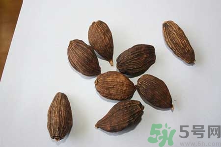 草果是什么？草果的功效與作用