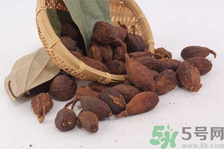 草果是什么？草果的功效與作用