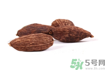 草果是什么？草果的功效與作用